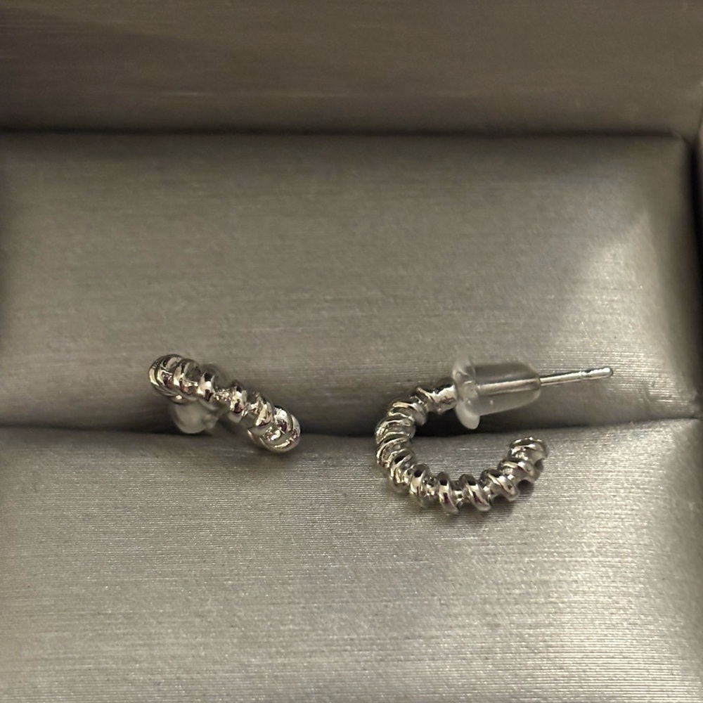 NWOT: Elegant Silver Hoop Earrings